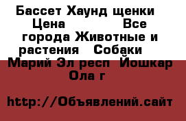 Бассет Хаунд щенки › Цена ­ 20 000 - Все города Животные и растения » Собаки   . Марий Эл респ.,Йошкар-Ола г.